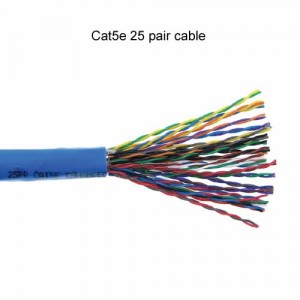 Cat5e 25 pair cable