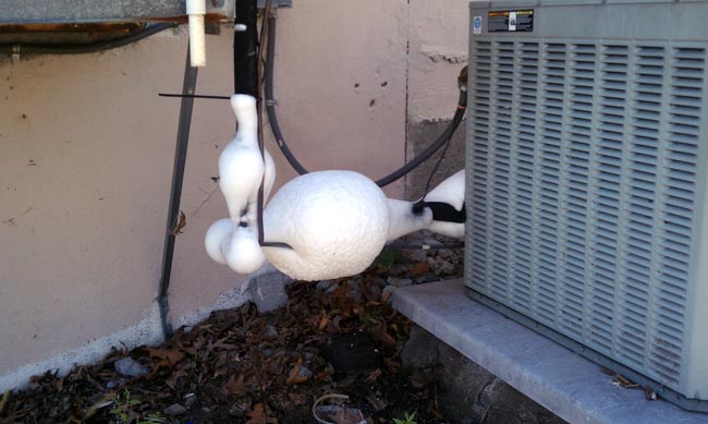 AC condenser frozen dryer and piping
