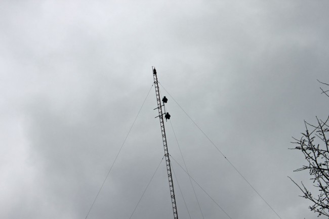W231AK antenna, Great Barrington, MA