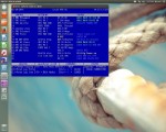 DOS autopilot running on Linux machine
